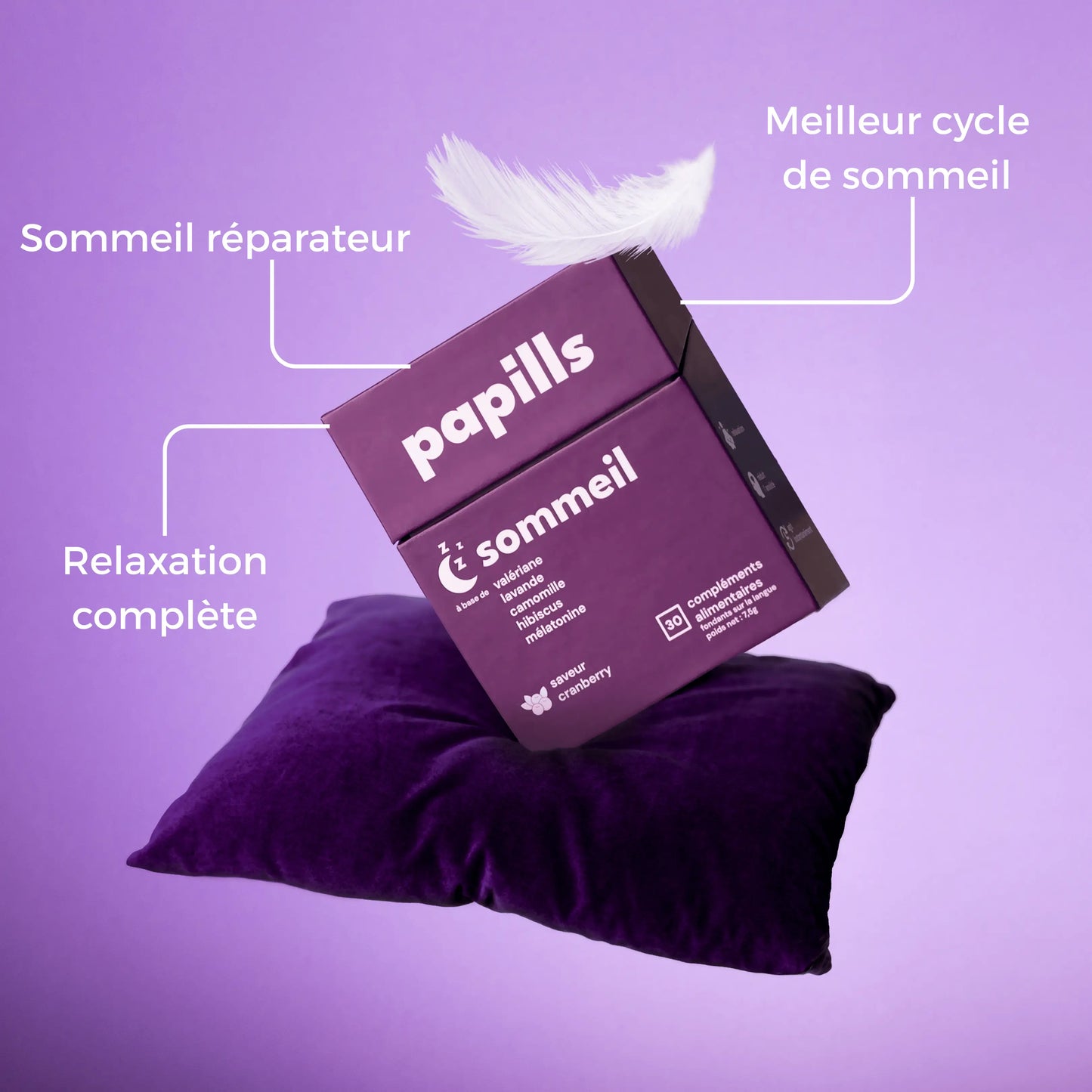 Papills Sommeil