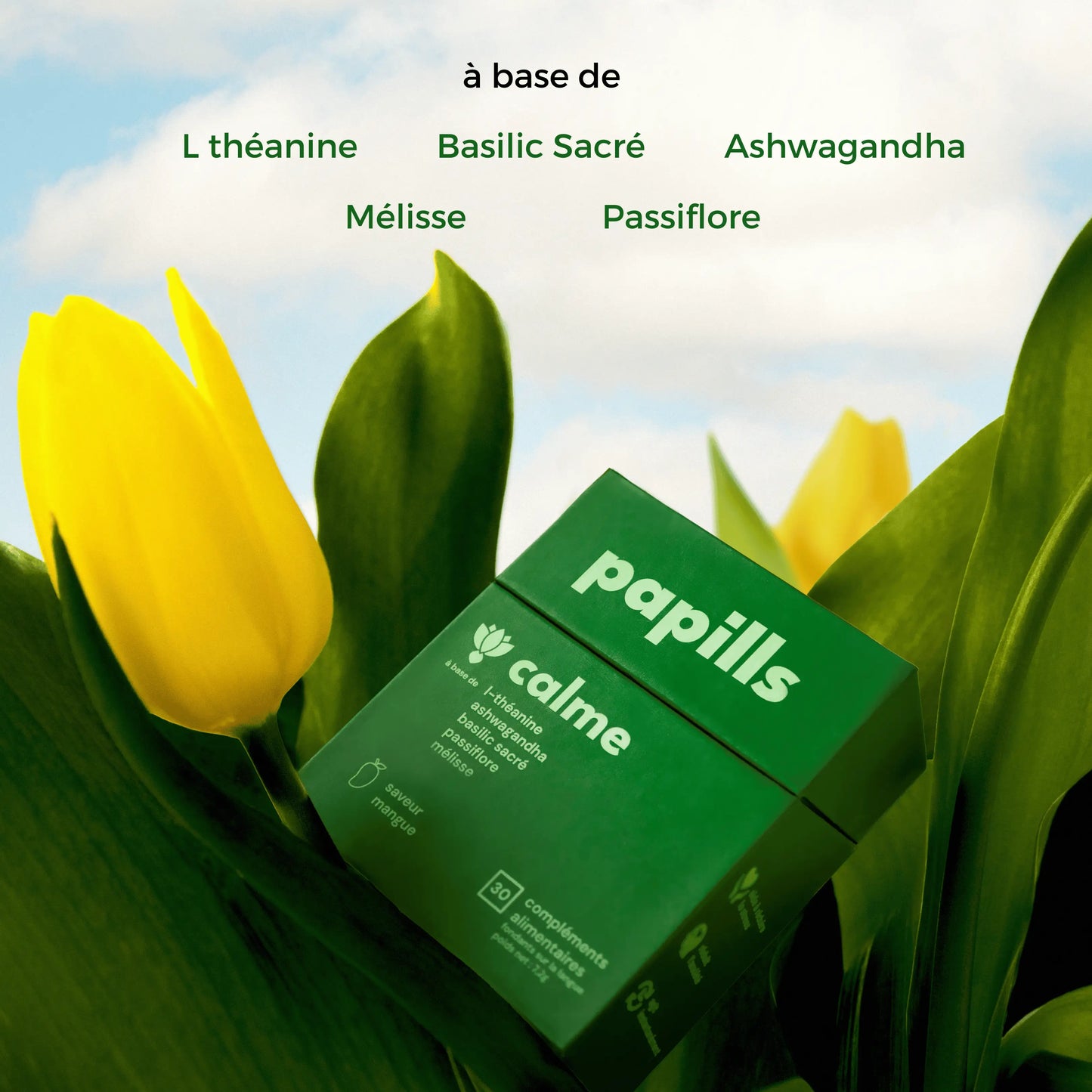 Papills Anti-Stress