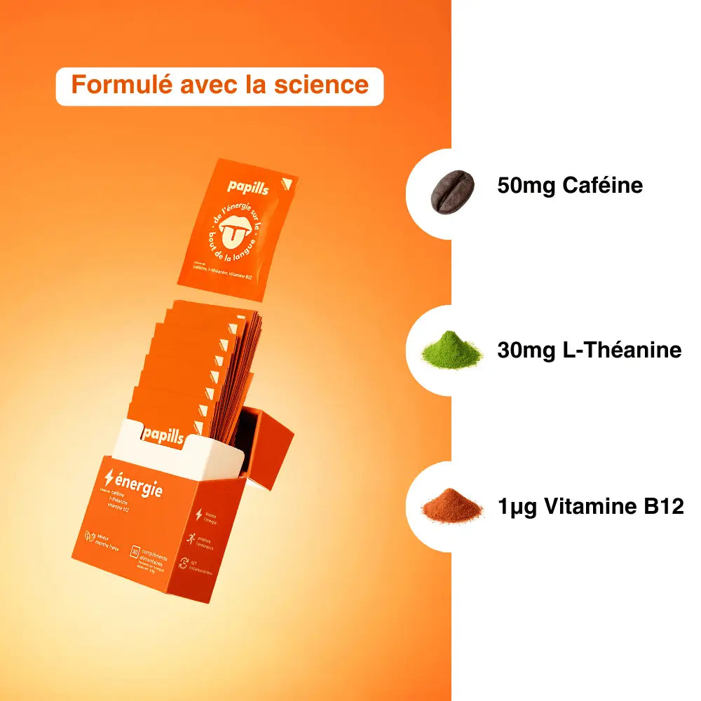 Papills Énergie