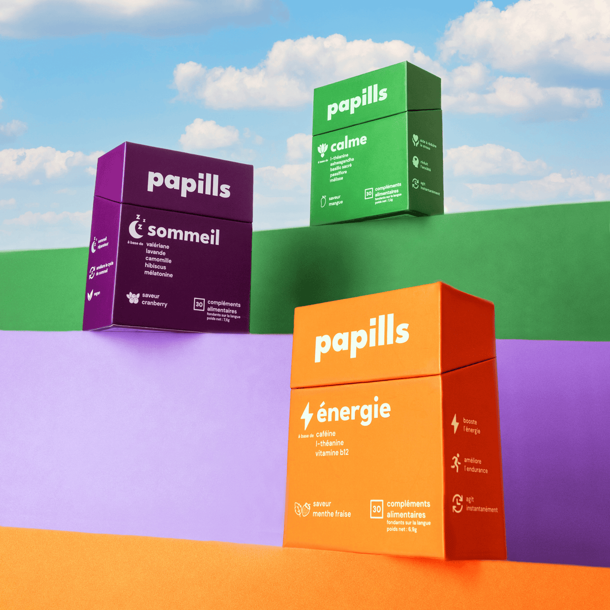 Papills Pack Découverte