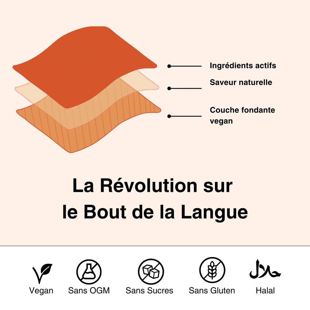 Papills Starter Pack