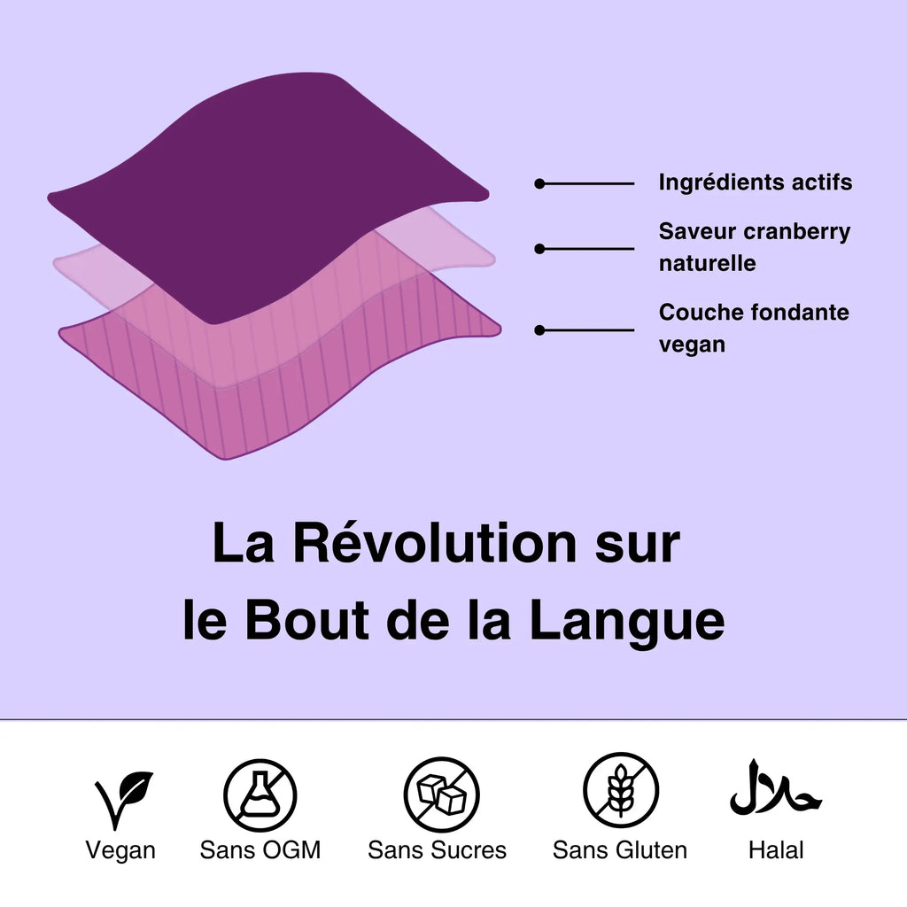 Papills Sommeil